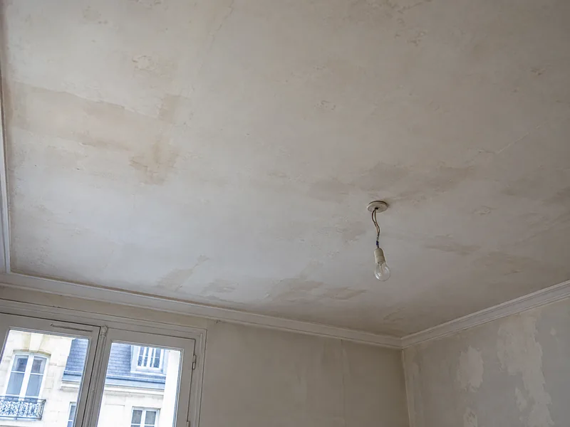 Peinture des plafonds — Avant