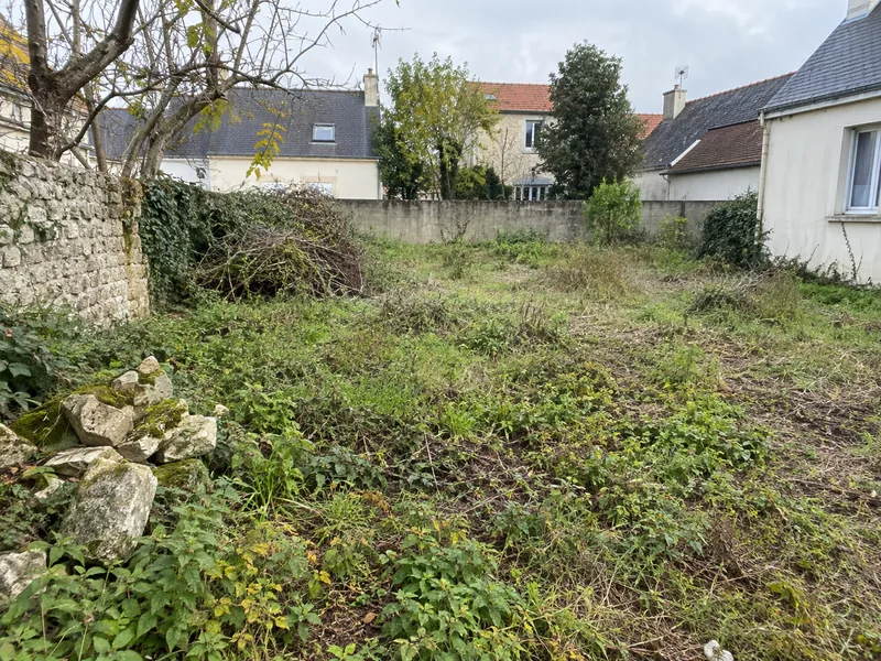 Préparation du terrain — Avant